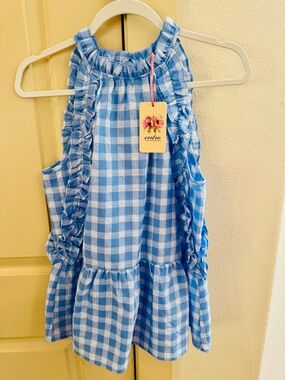 Entro Blue and White Gingham Ruffle Peplum sleeveless blouse